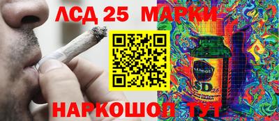 PSILOCYBIN Бугуруслан