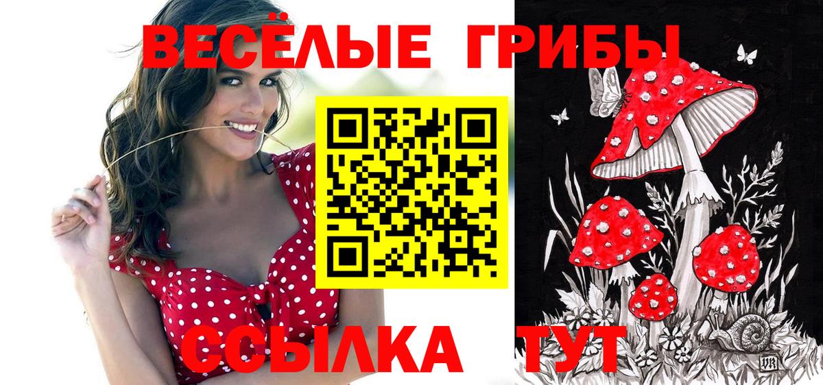 Галлюциногенные грибы Magic Shrooms  Вход с VPN  Северск 